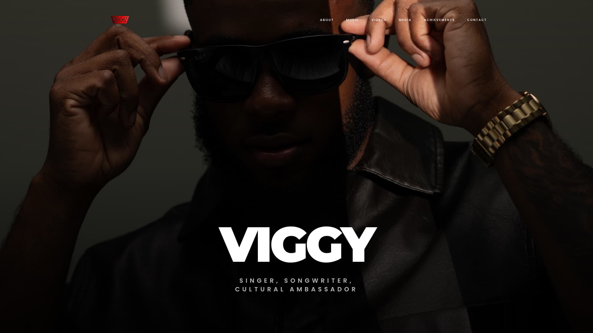 Viggy website